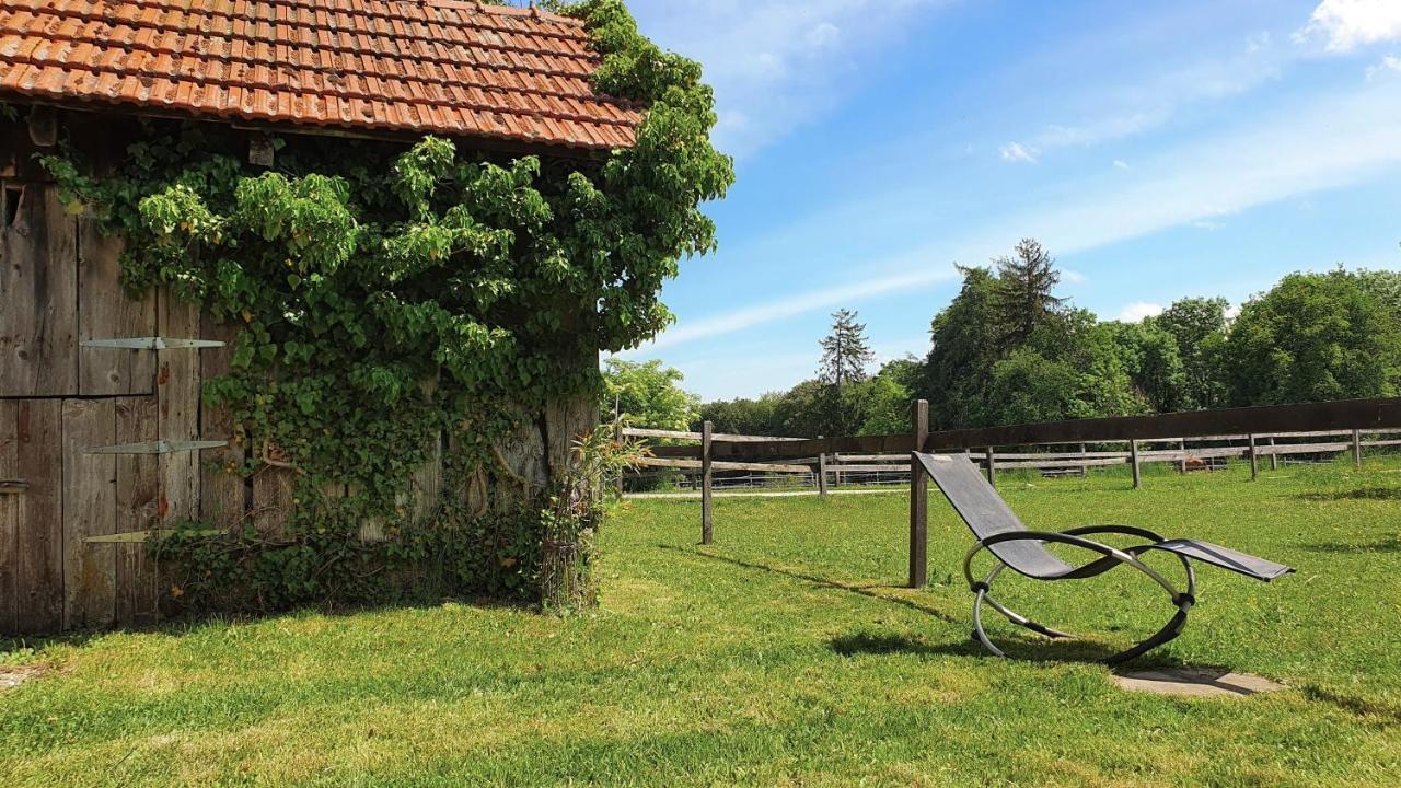 Guesthouse La Moliere, 3 Bedrooms, Private House, Horse Farm, Full Nature Murist Εξωτερικό φωτογραφία