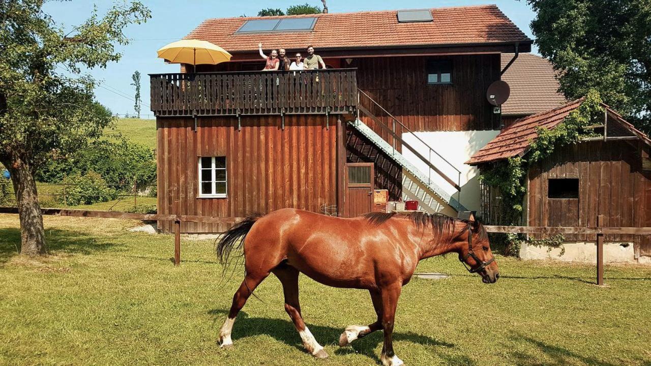 Guesthouse La Moliere, 3 Bedrooms, Private House, Horse Farm, Full Nature Murist Εξωτερικό φωτογραφία